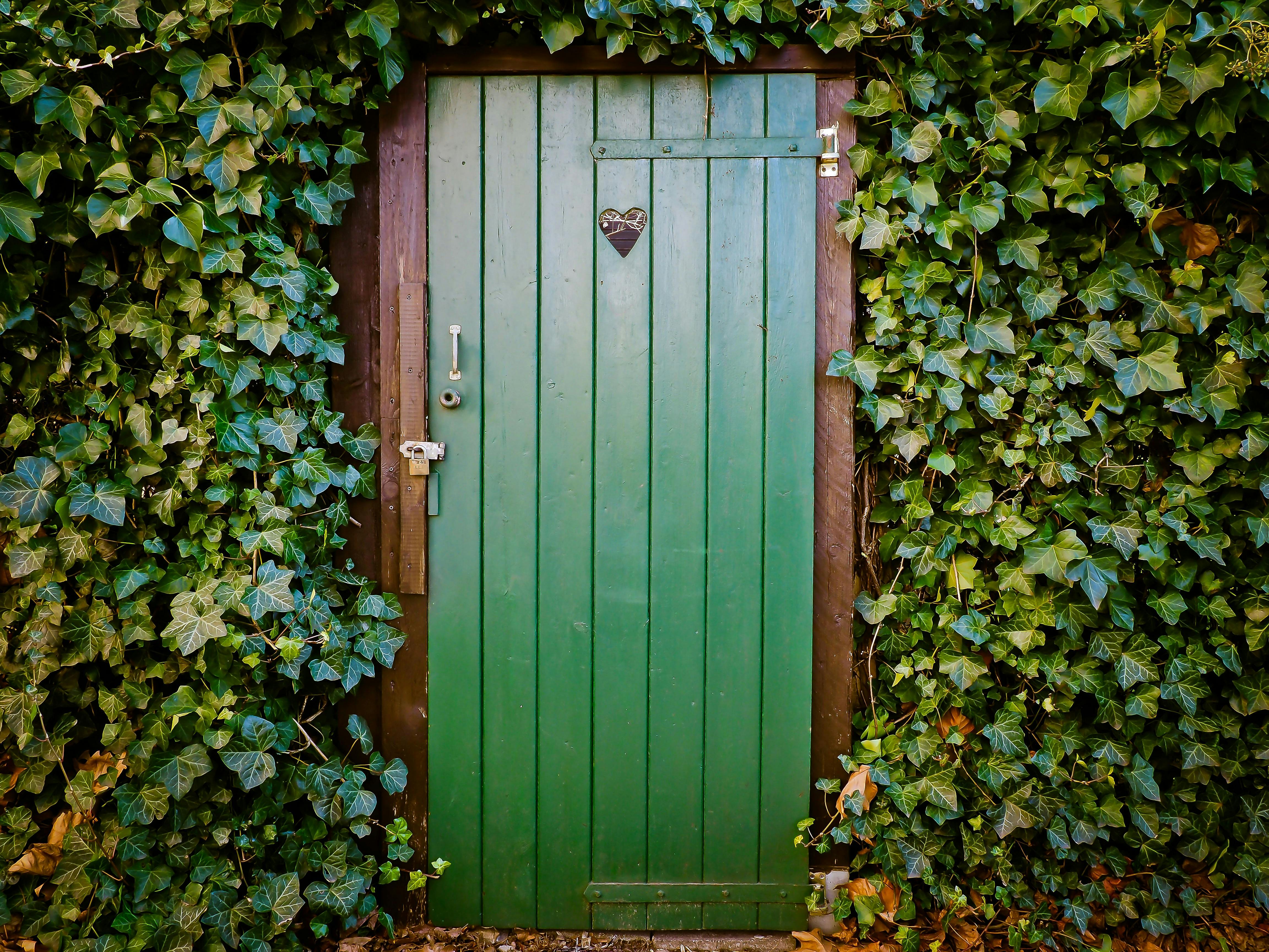 source: Pexels - Pixabay